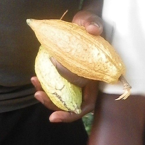 Explore Ghana's Heritage